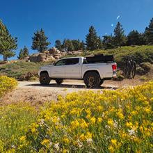 Load image into Gallery viewer, Elevate Chromoly Ball Joint UCA, 2005+ Tacoma 2/4WD
